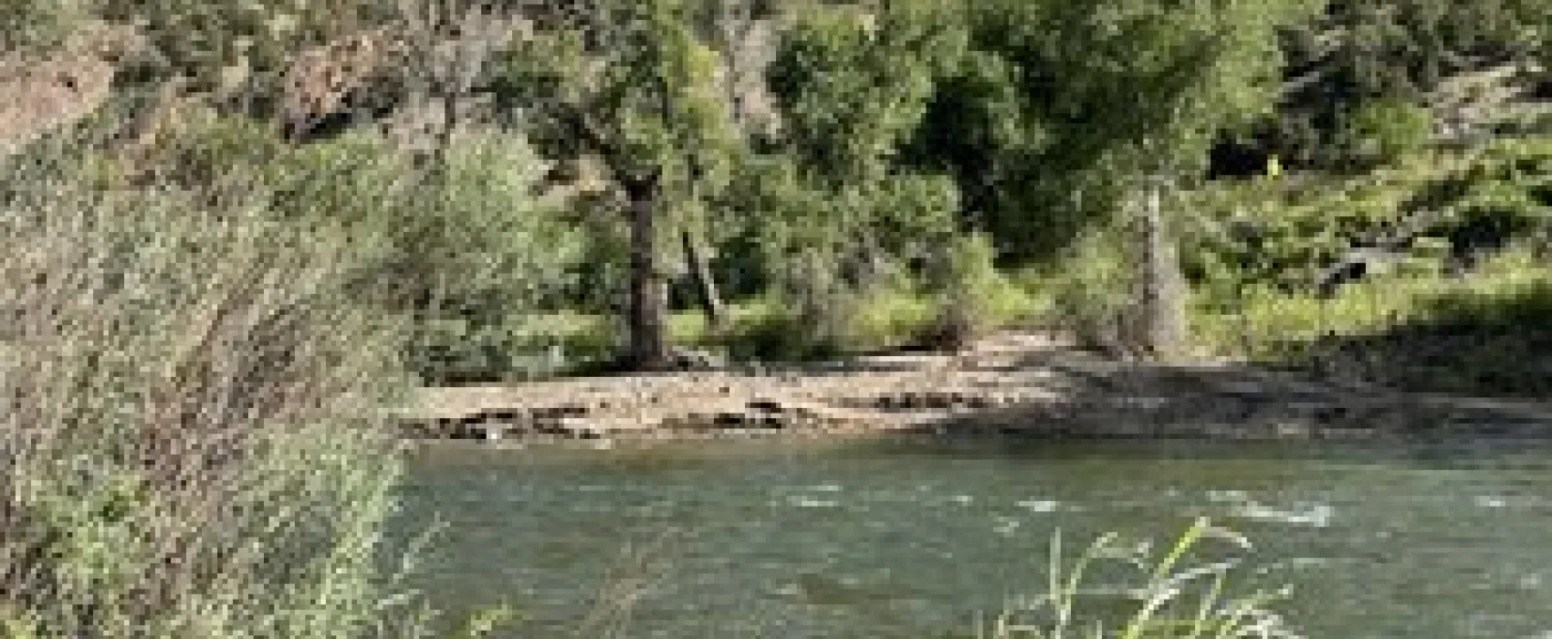 Four Seasons RV Resort