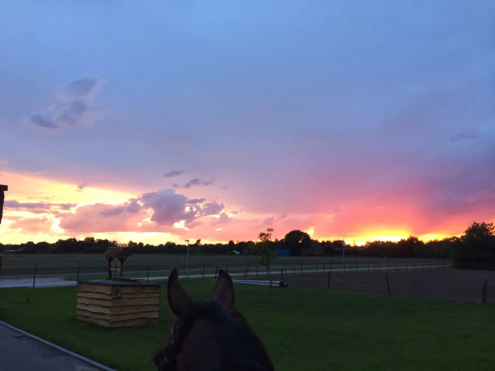 Minicamping De Vrolijke Flierefluiter