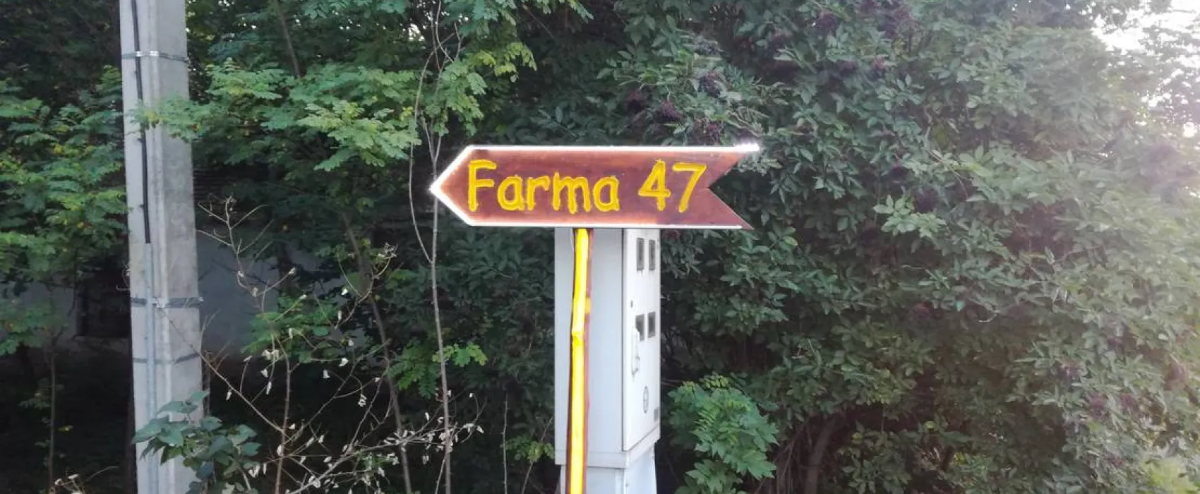 SALAS FARMA 47