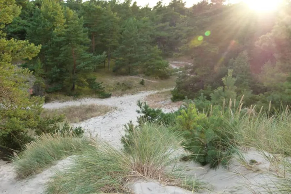 Borrbystrand Camping