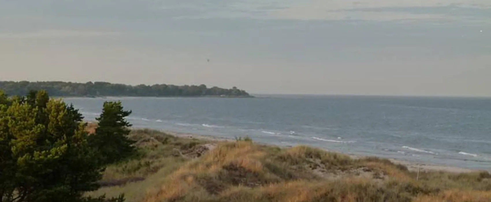 Borrbystrand Camping