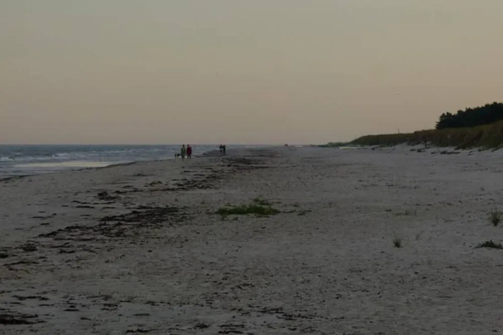 Borrbystrand Camping