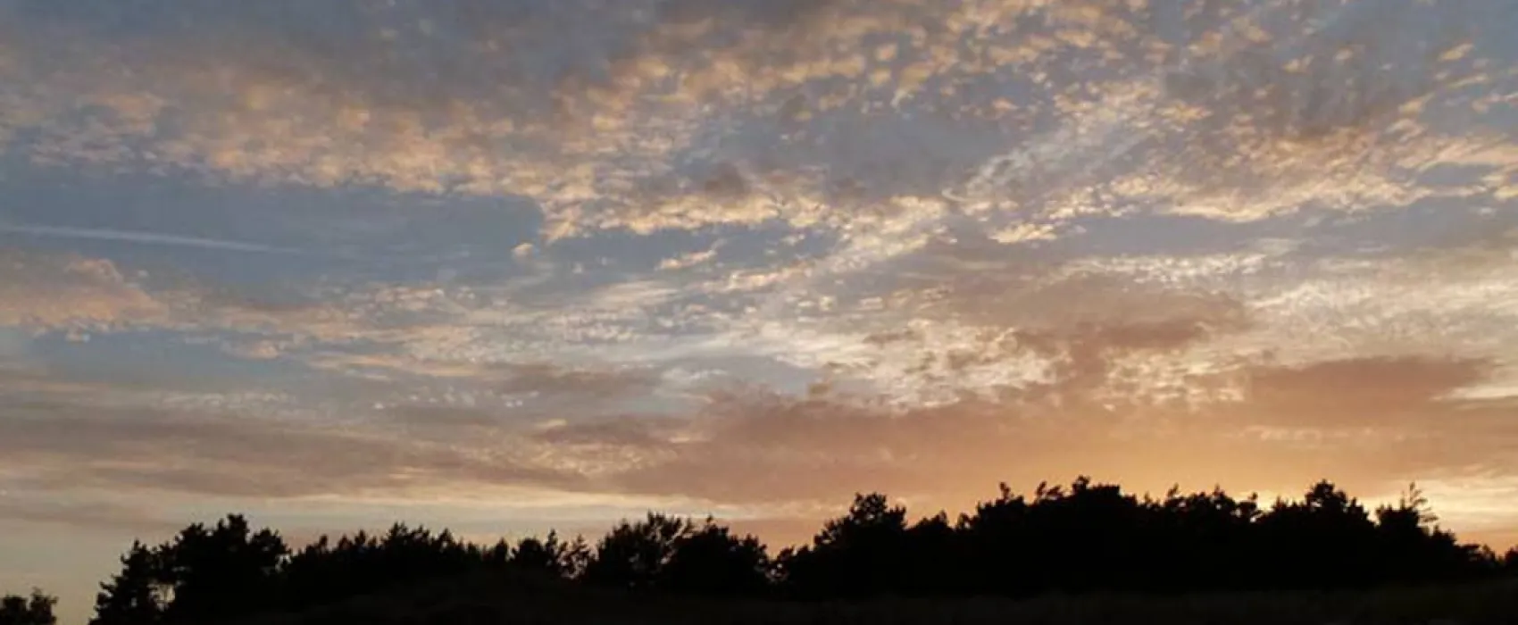 Borrbystrand Camping