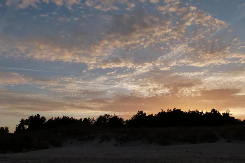 Borrbystrand Camping