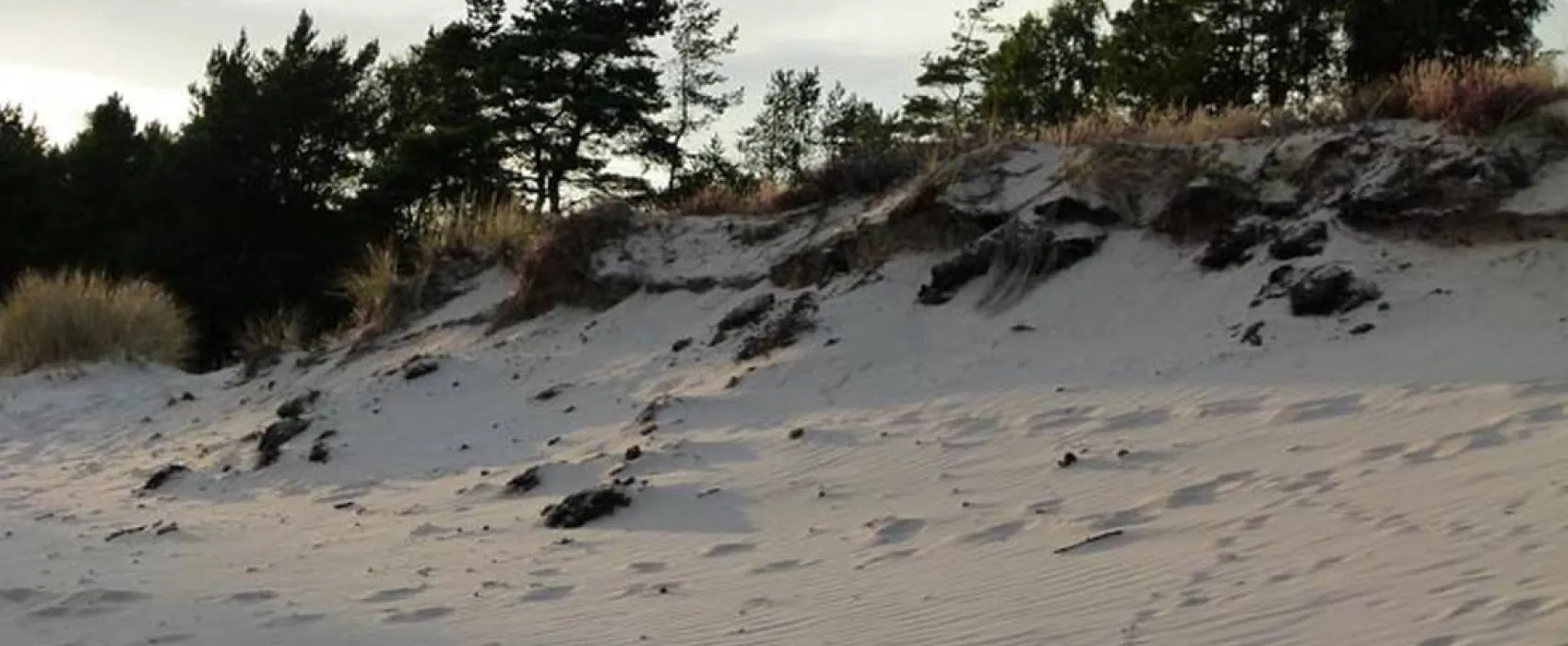 Borrbystrand Camping