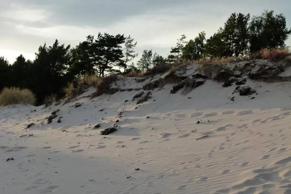 Borrbystrand Camping