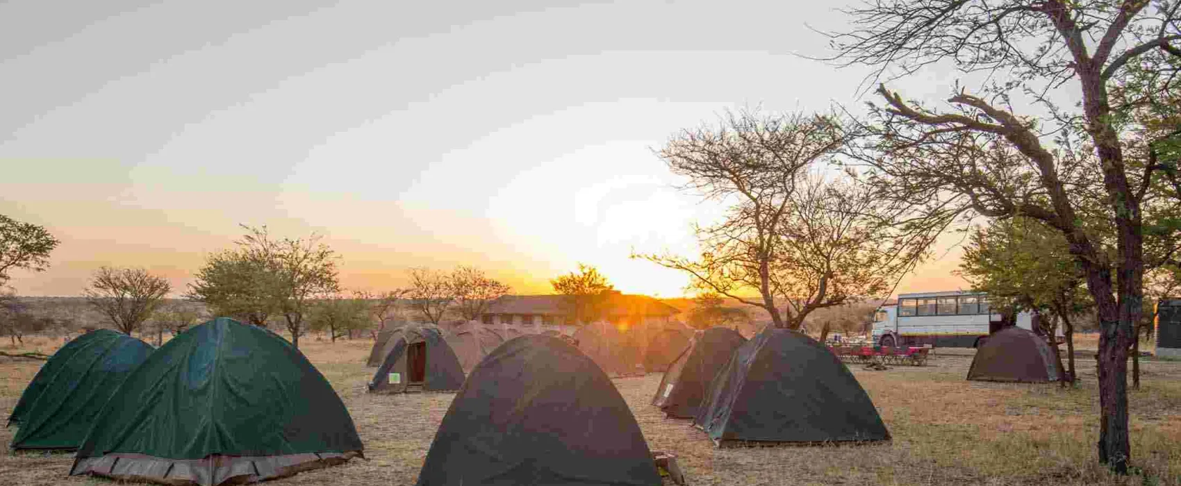 Camp Gecko - Orange Campsite