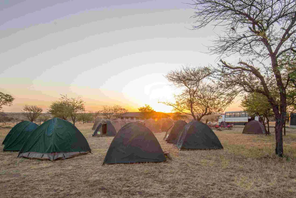 Camp Gecko - Orange Campsite