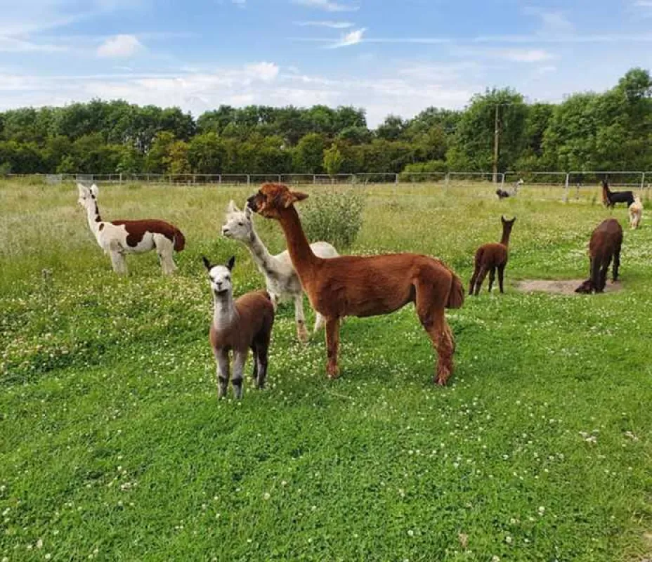 Woodside Caravan Site Certificated Location