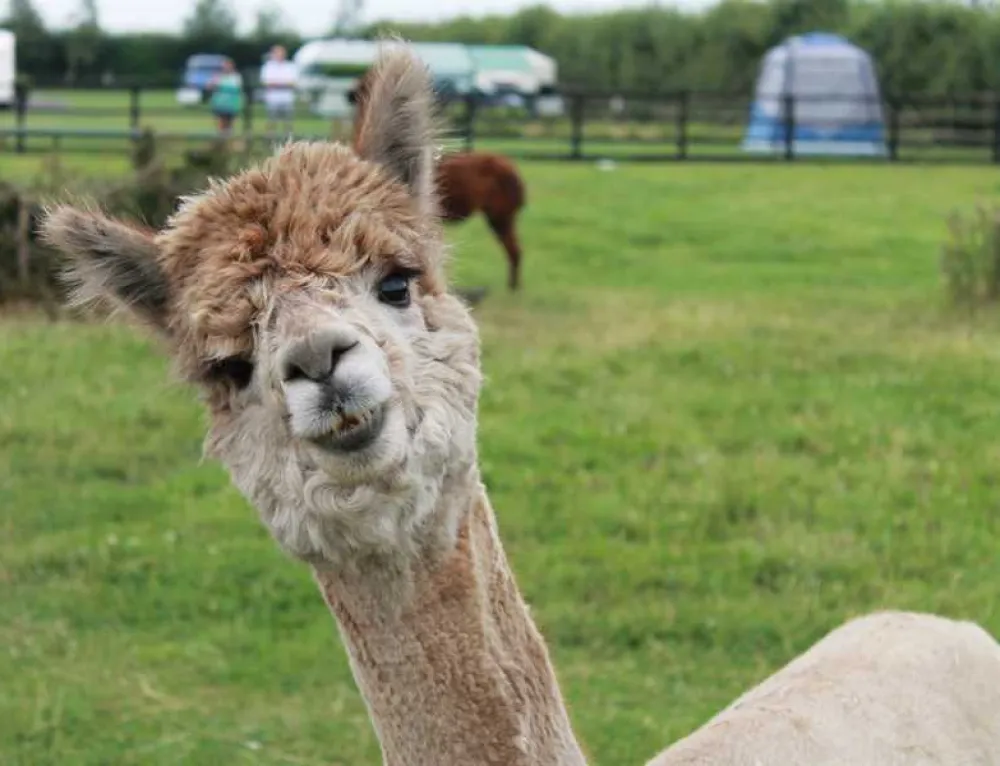 Woodside Caravan Site Certificated Location