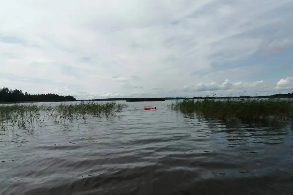 Mjölknabbens Camping