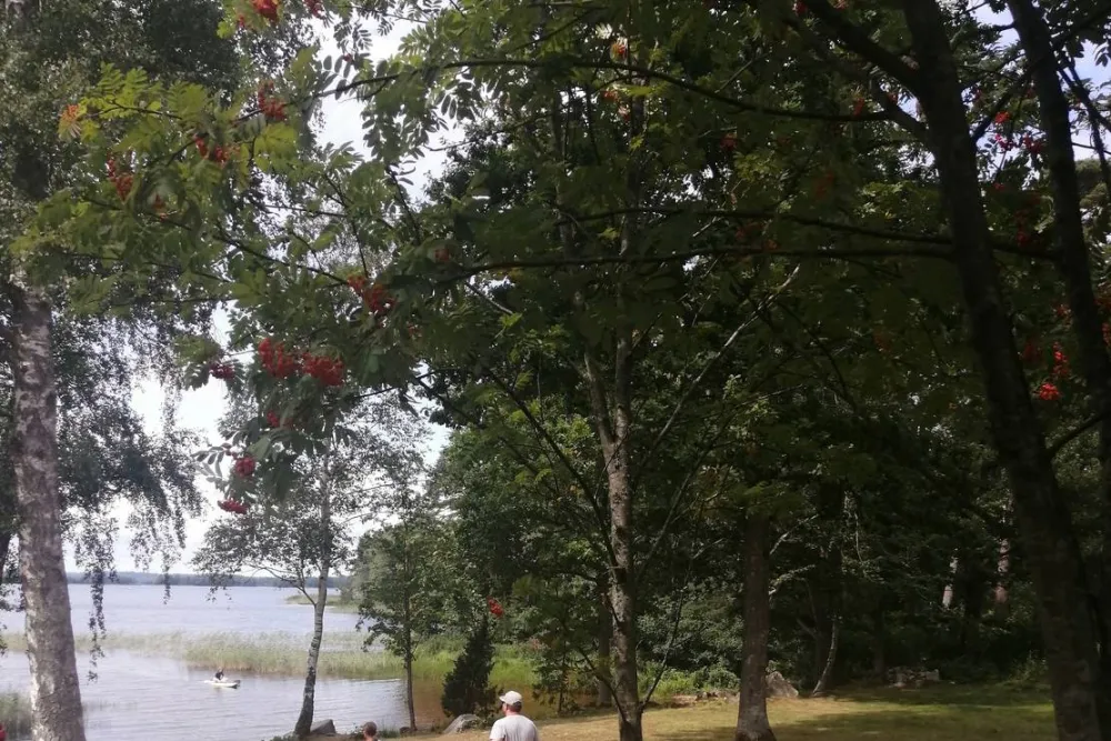 Mjölknabbens Camping