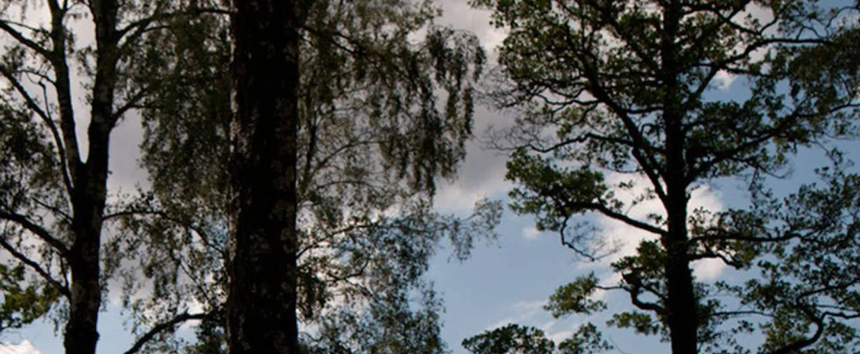 Mjölknabbens Camping