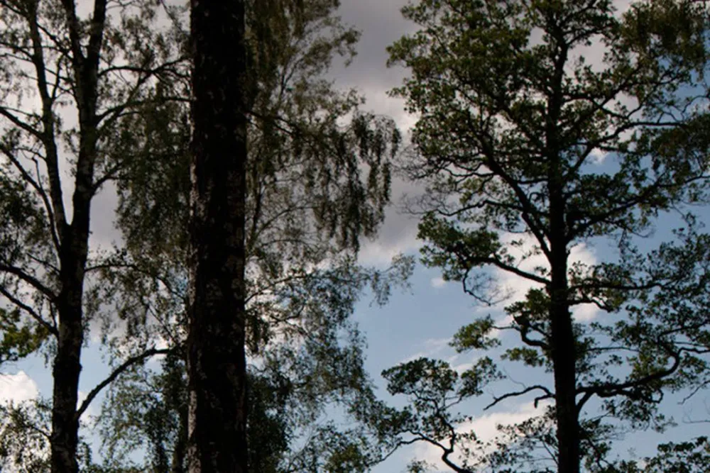 Mjölknabbens Camping