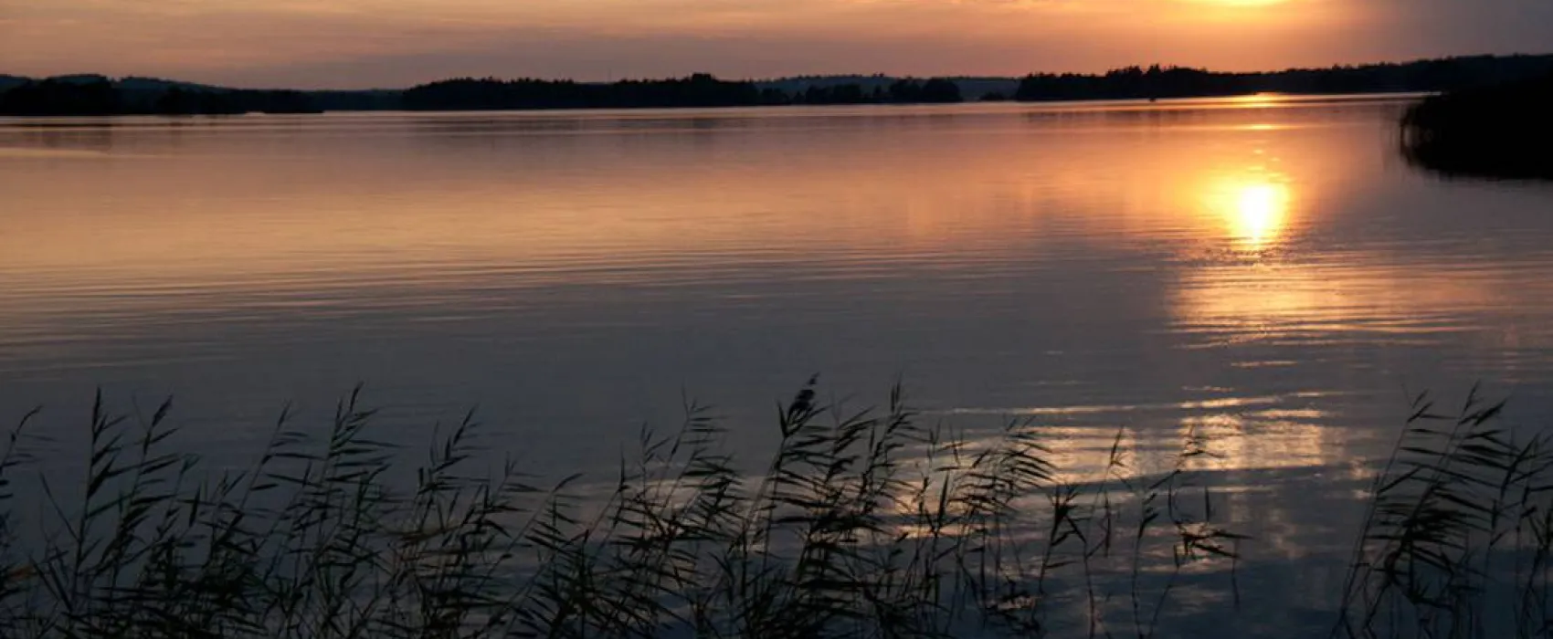 Mjölknabbens Camping