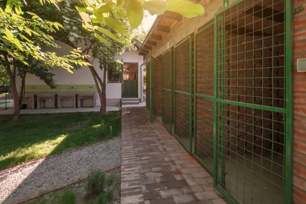 Camping Suza Baranje