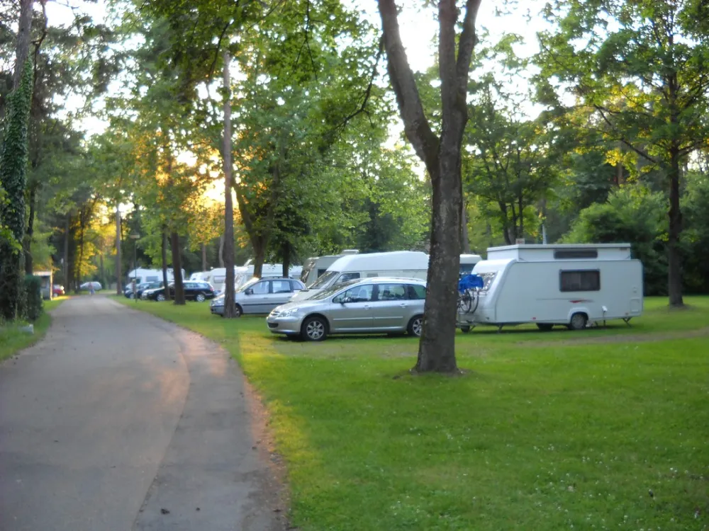 AZUR Waldcamping Auwaldsee