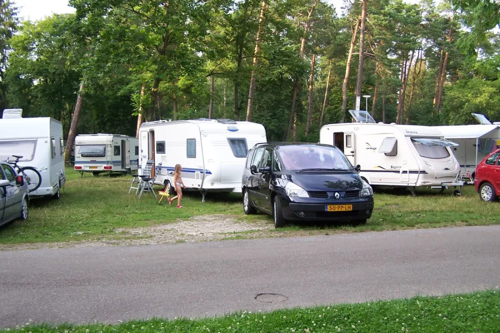 AZUR Waldcamping Auwaldsee