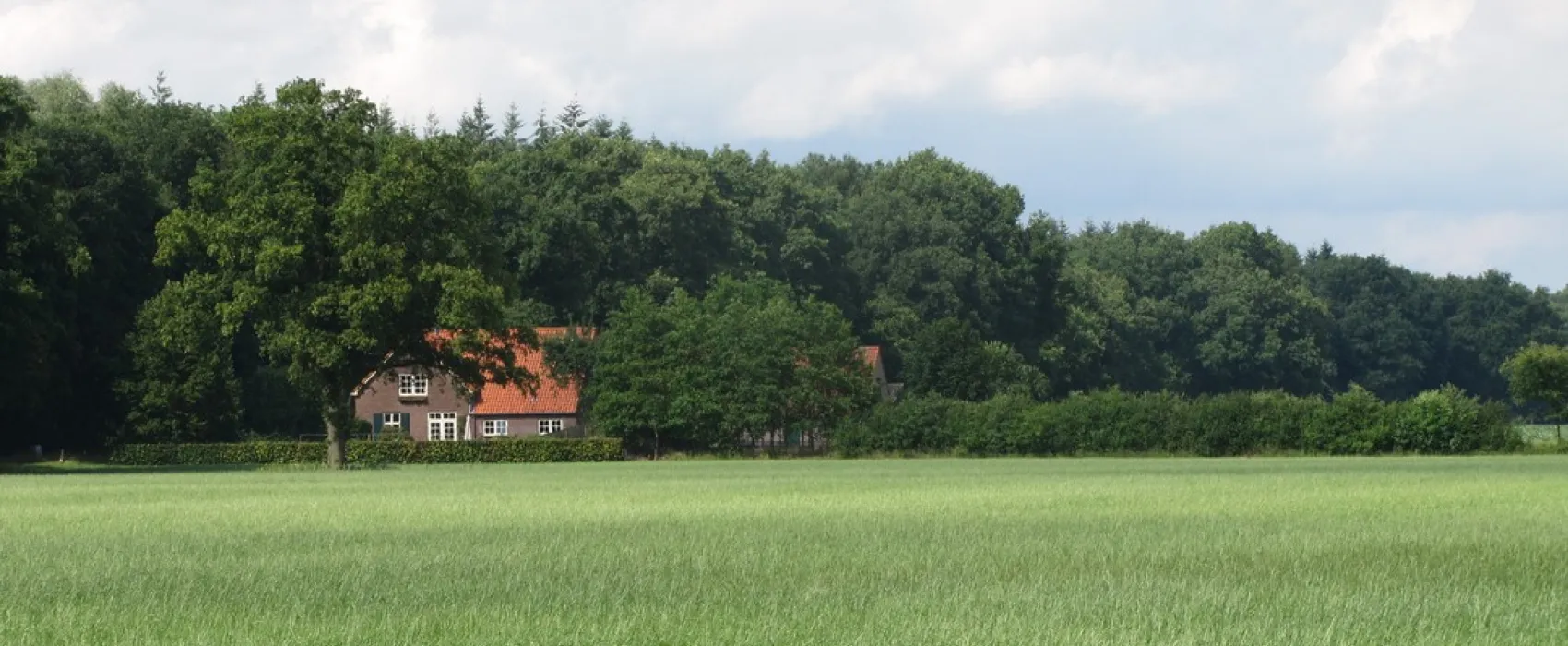 Minicamping 't Gagel