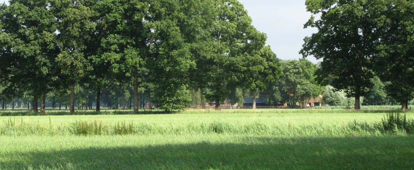 Minicamping 't Gagel