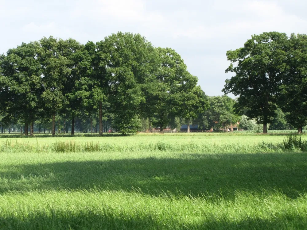 Minicamping 't Gagel