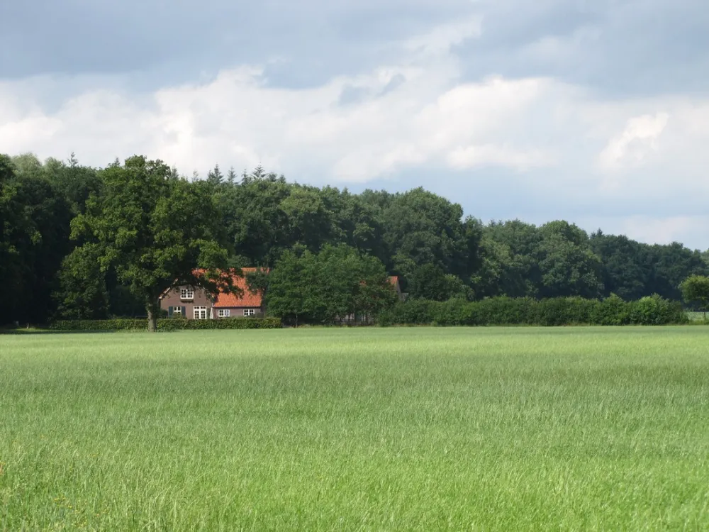 Minicamping 't Gagel