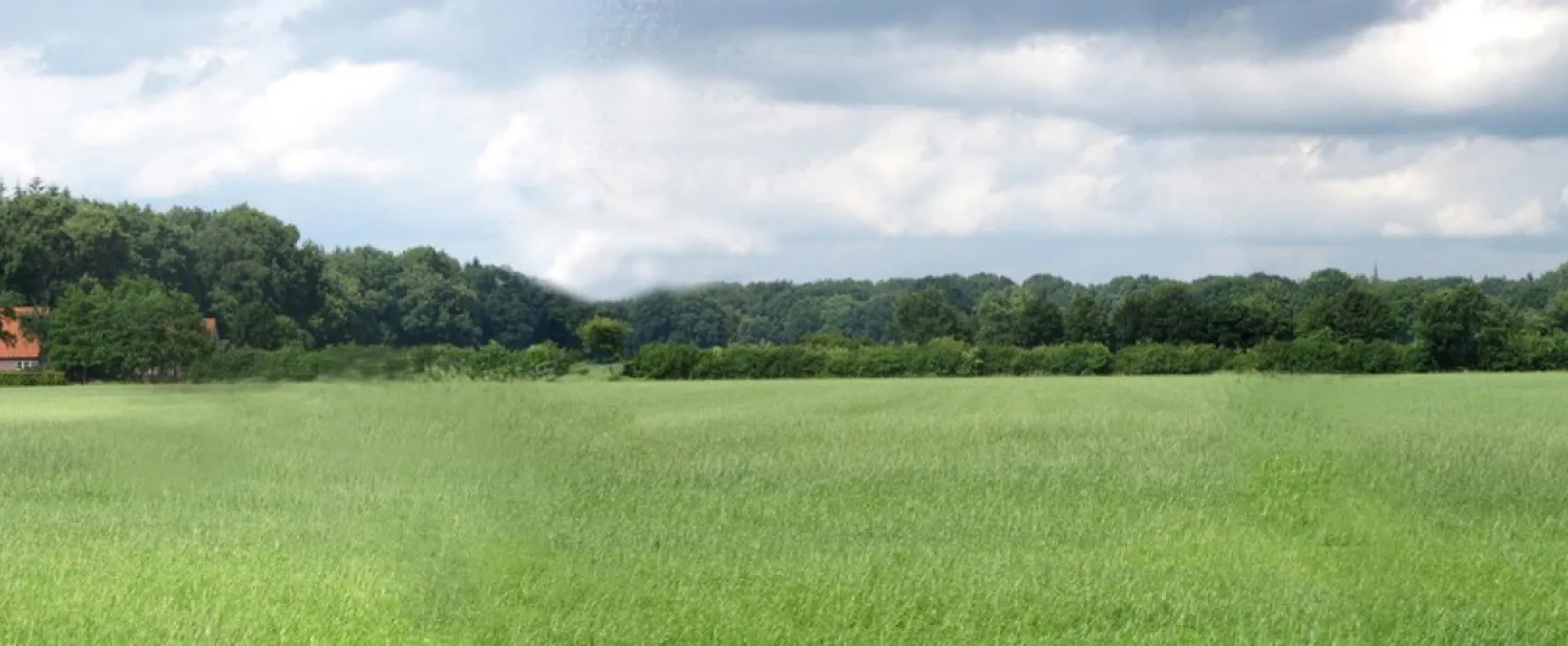 Minicamping 't Gagel