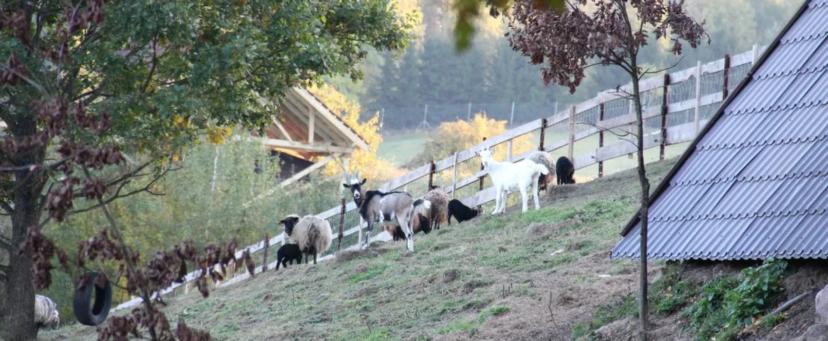 Camping Siedlisko Gizewo