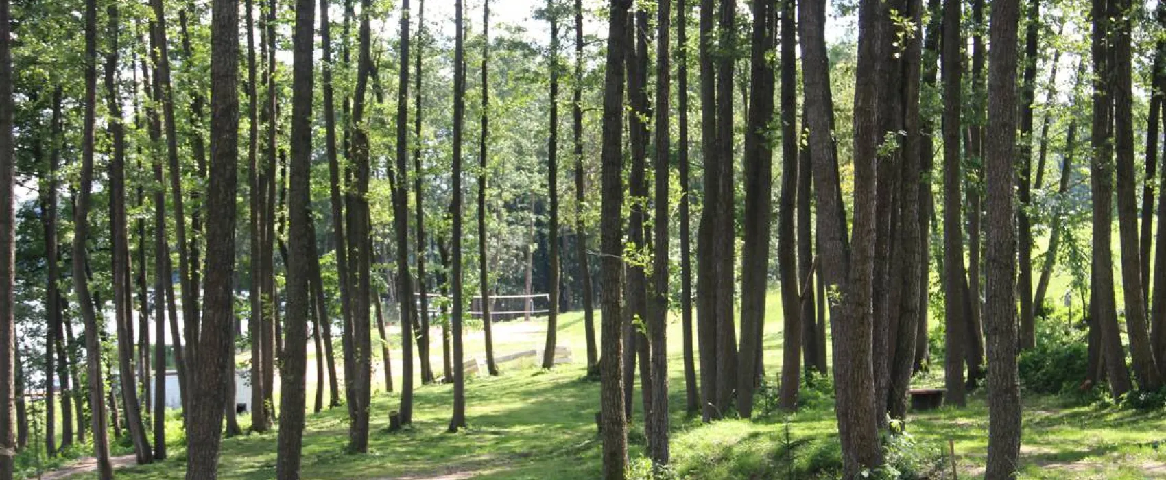 Camping Siedlisko Gizewo