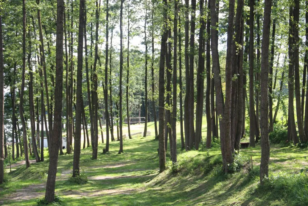 Camping Siedlisko Gizewo