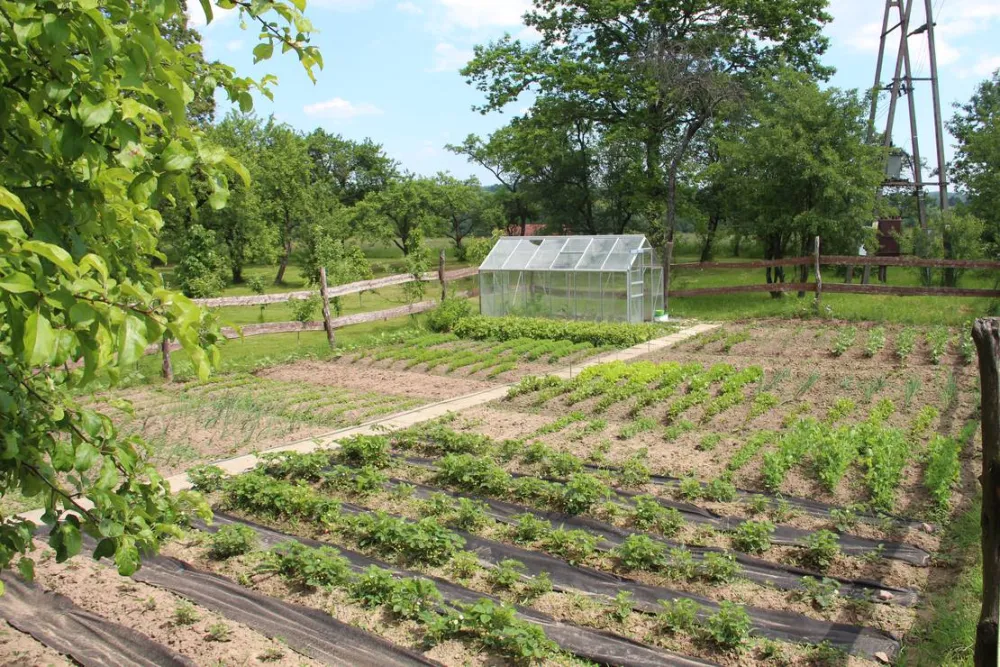 Camping Siedlisko Gizewo