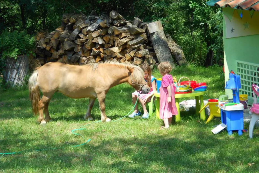 Biohof La Communion -Camping à la ferme