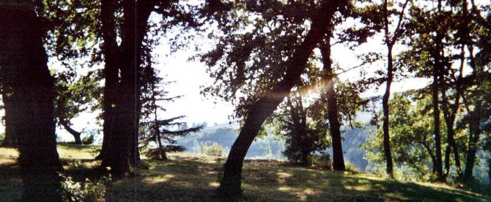 Biohof La Communion -Camping à la ferme