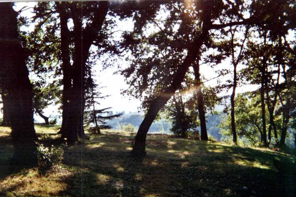 Biohof La Communion -Camping à la ferme
