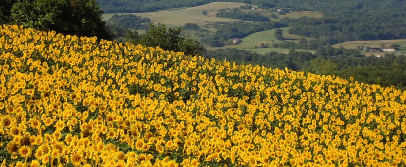 Biohof La Communion -Camping à la ferme