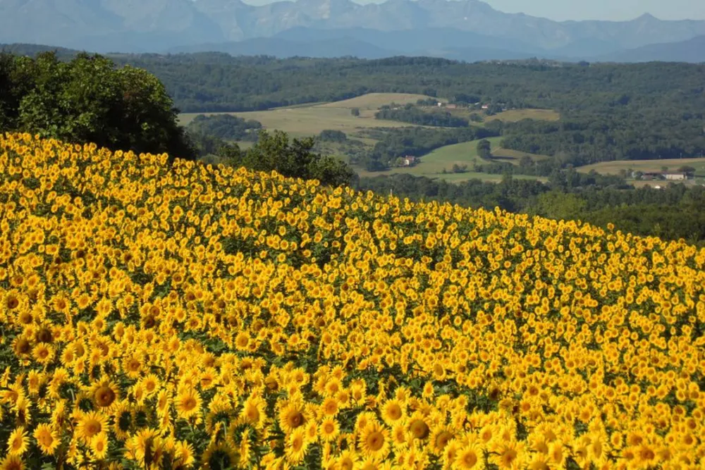 Biohof La Communion -Camping à la ferme
