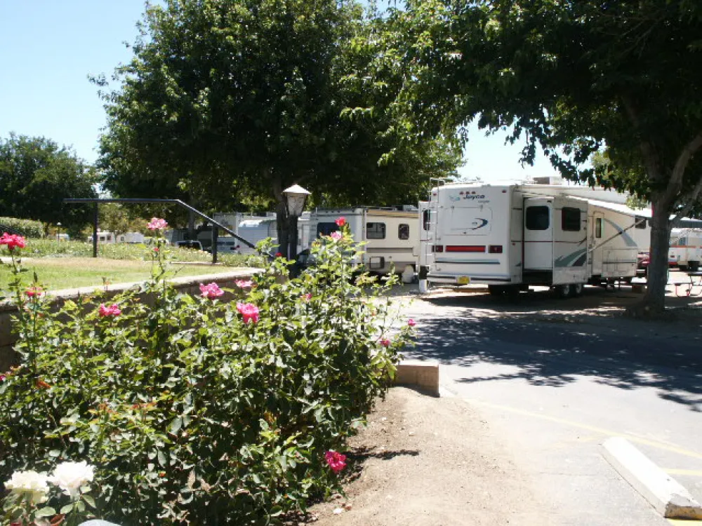 Castaic Lake RV Park