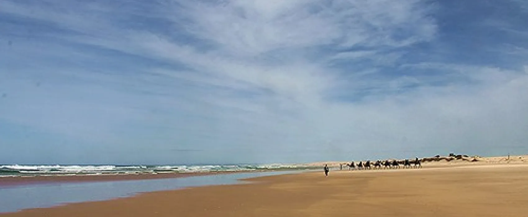 Stockton Beach Lavis Lane Entry Campground
