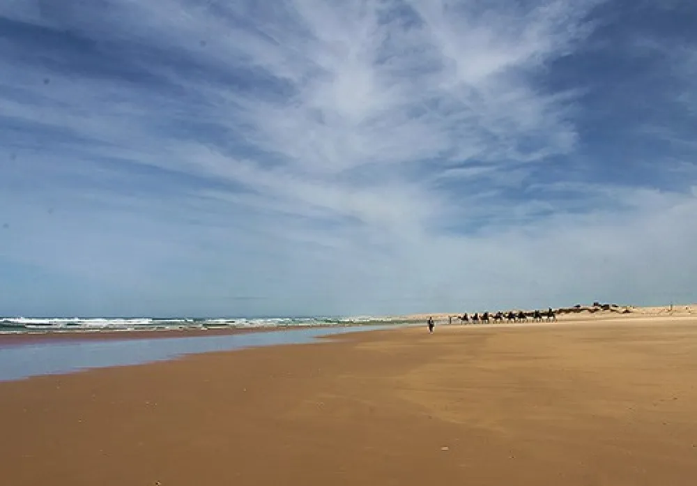 Stockton Beach Lavis Lane Entry Campground