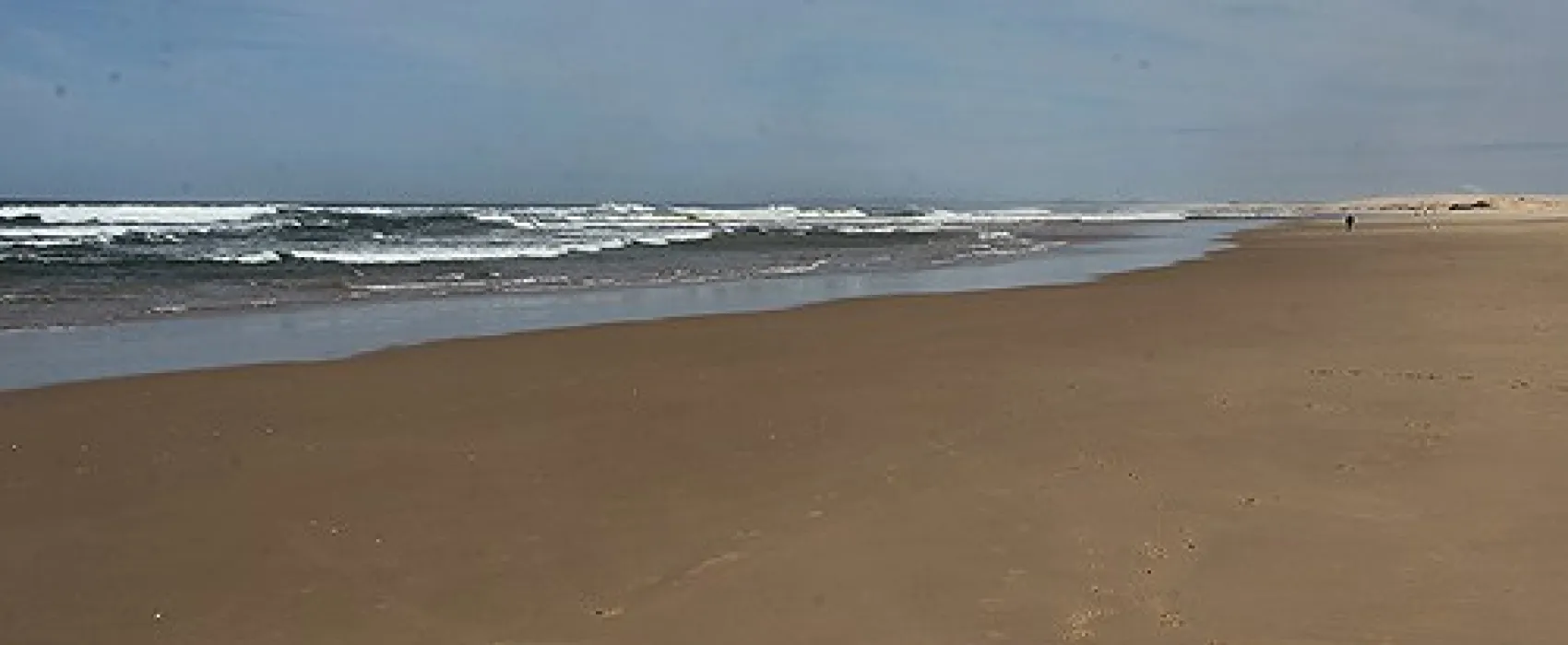 Stockton Beach Lavis Lane Entry Campground