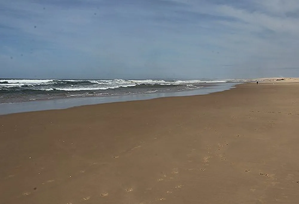 Stockton Beach Lavis Lane Entry Campground