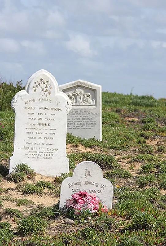 Stockton Beach Lavis Lane Entry Campground
