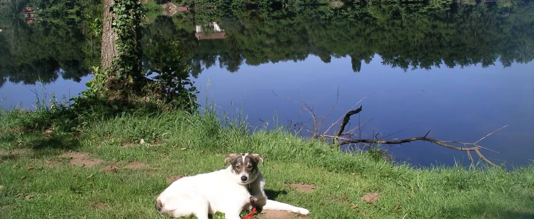 Camping de Trémolat