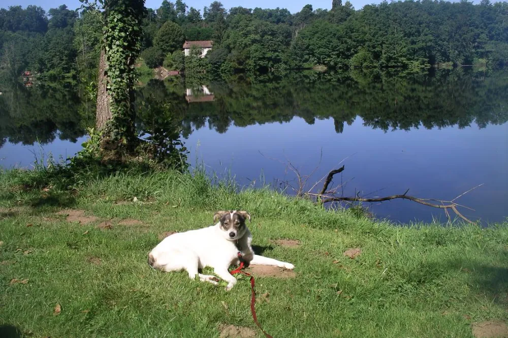 Camping de Trémolat