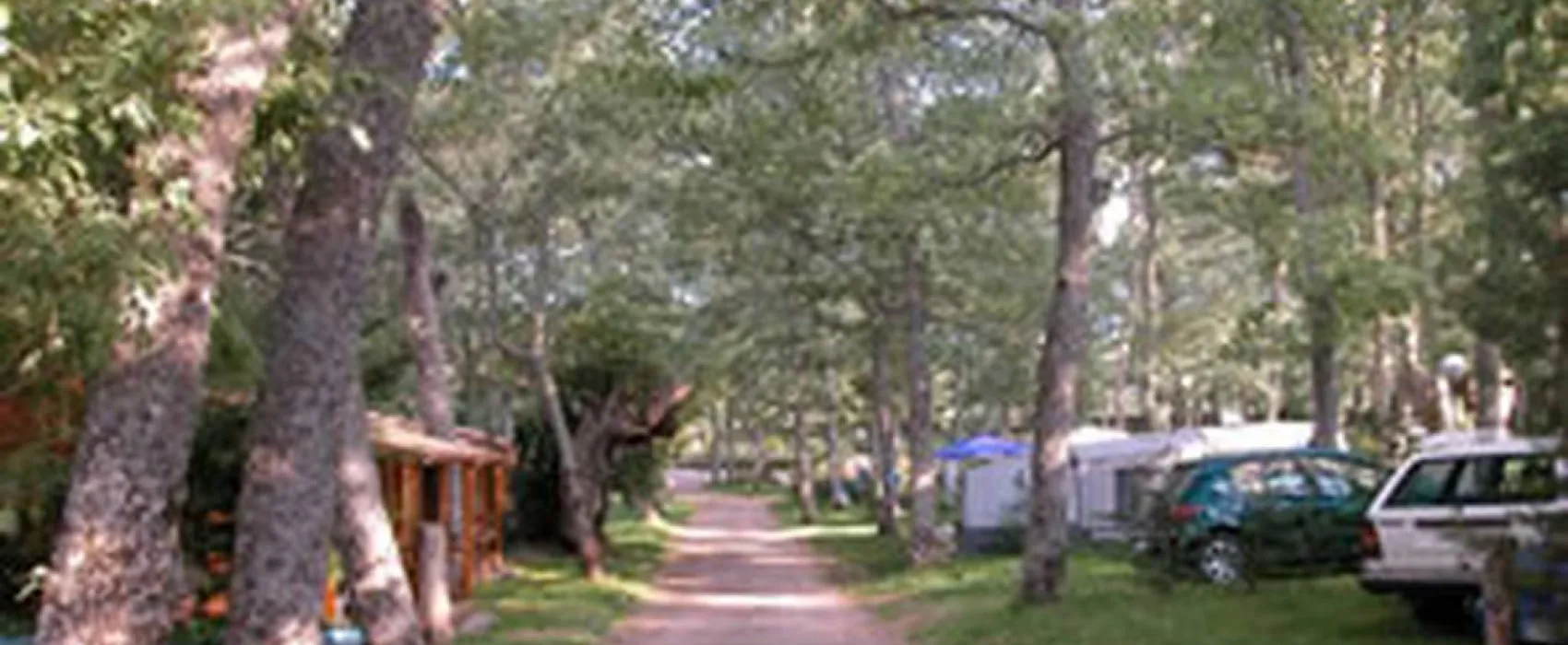 Camping Sierra de Francia