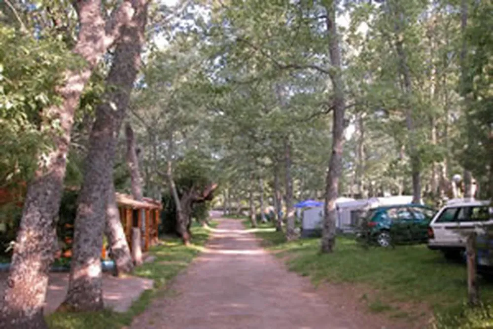 Camping Sierra de Francia