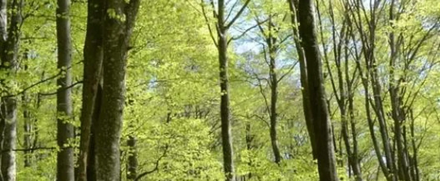 Åkulla Outdoor Resort