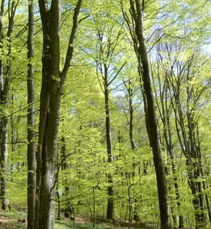 Åkulla Outdoor Resort