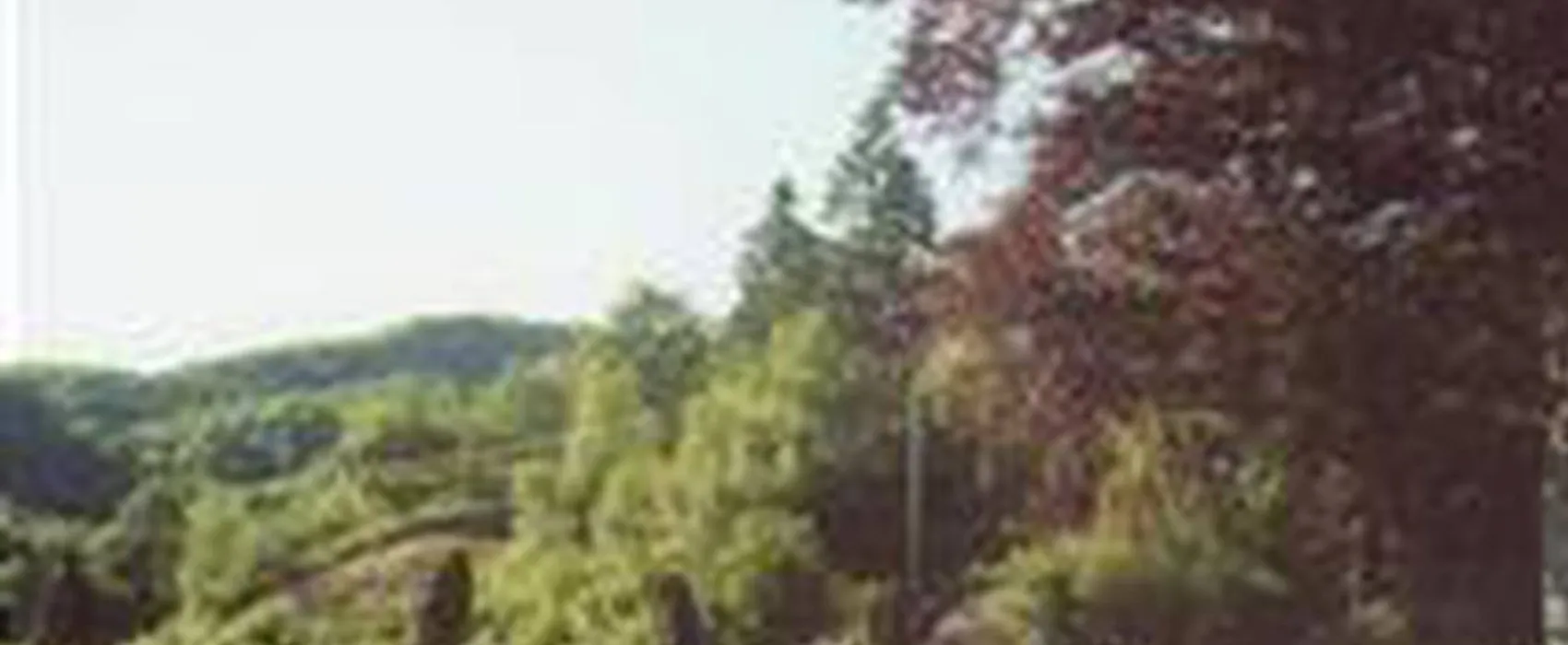 Bakkaåno Camping & Gjestegård