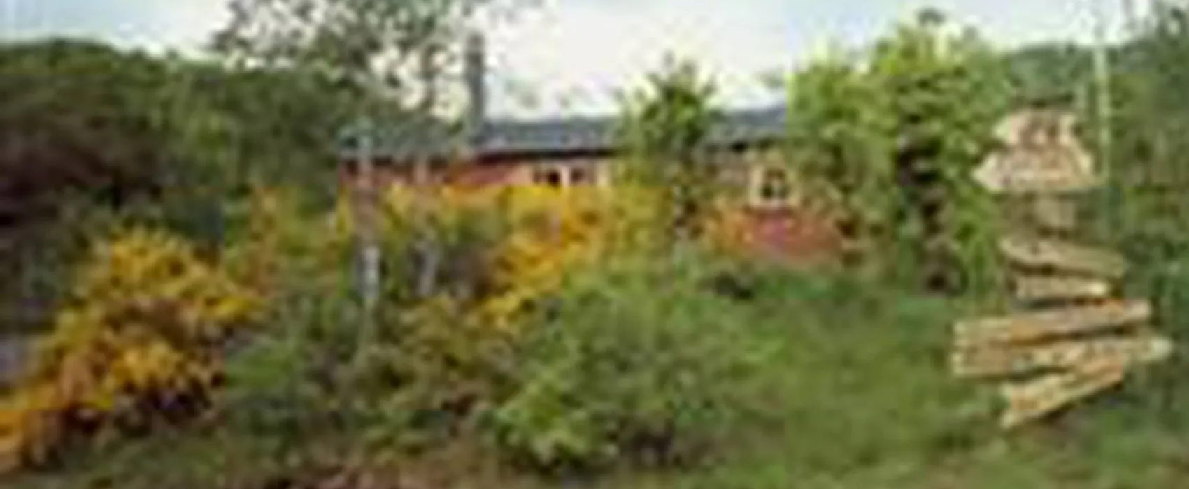 Bakkaåno Camping & Gjestegård